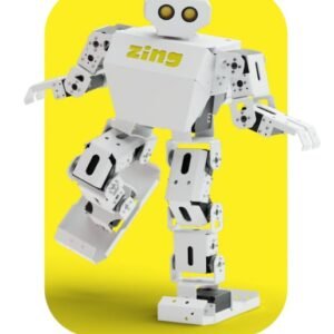 Zing Humanoid Robo